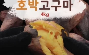 인플루언서들이 먼저 찾는 해남 꿀고구마 4kg4kg 추천 리뷰