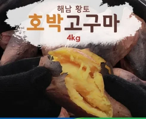 인플루언서들이 먼저 찾는 해남 꿀고구마 4kg4kg 추천 리뷰