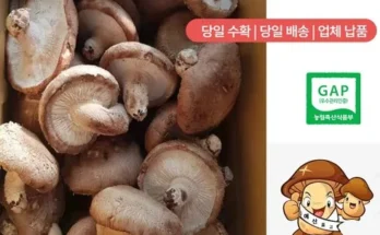홈쇼핑에서 5분만에 품절된 못난이 표고버섯 3kg 리뷰 추천